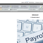 Download Software Payroll / Penggajian Full Custom